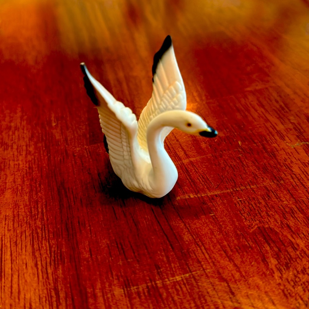 China Swan